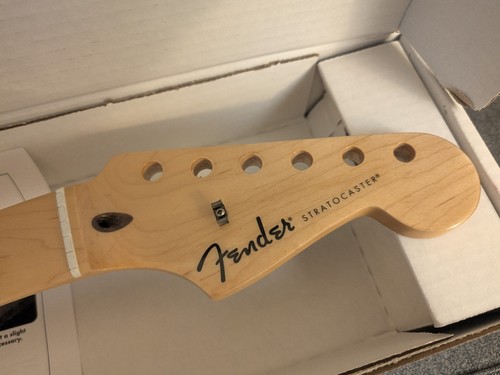 Genuine fender standard - standard, strat